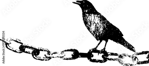 Raven perched on anchor chain high contrast black and white ink design