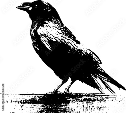 High contrast raven emblem with banner in black and white ink