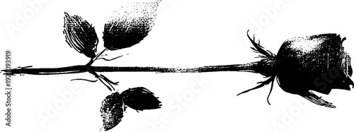 Rose and dagger in high contrast ink art for tattoo design