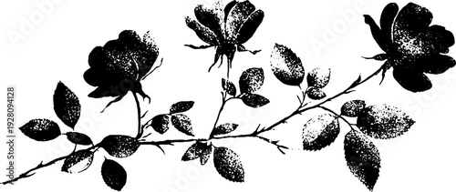 Elegant rose and thorns high contrast black and white ink art for decorative design