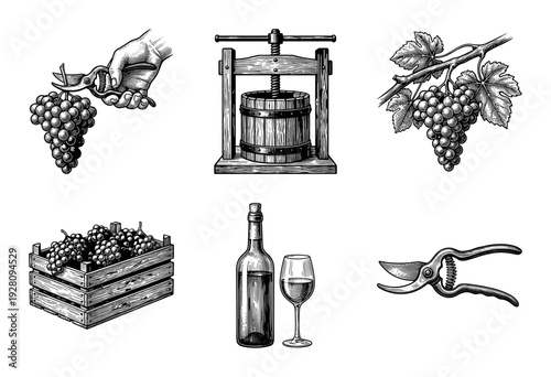 Vintage woodcut style winemaking collection featuring grape harvest, antique press, wooden crate, and bottled wine.