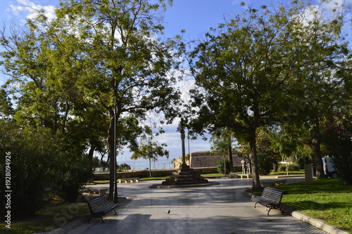 Rua arborizada