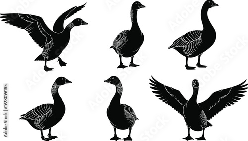 Goose silhouette set with domestic and wild geese, flying and standing waterfowl icons in flat vector style for CAD drawing, nature bird design