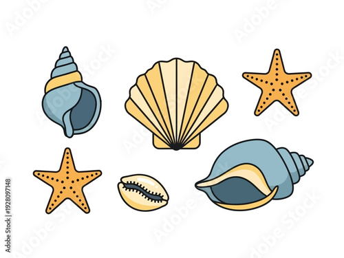 Six stylized seashells and starfish icons against a white background