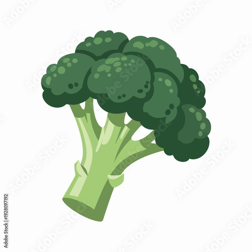 Cartoon style broccoli floret vector illustration fresh green vegetable healthy eating concept isolated culinary ingredient design asset