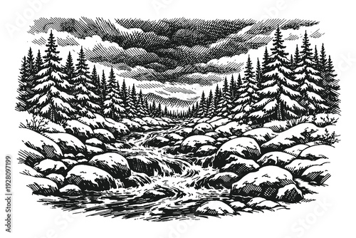 Rapid river flowing through a dense pine forest with rocky shores, wild nature landscape hand drawn line art vector illustration of a wilderness scene.