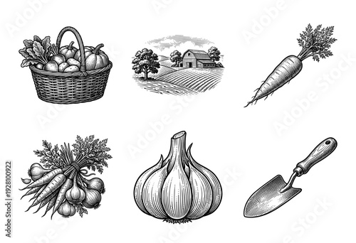 Vintage engraving collection of organic farm produce featuring root vegetables, a rustic barn landscape, and a garden trowel in a woodcut style.