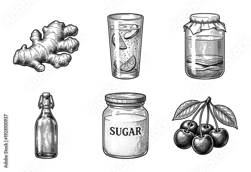 Vintage engraving style collection of fermented drink ingredients including ginger root, kombucha jar, sugar, and cherries