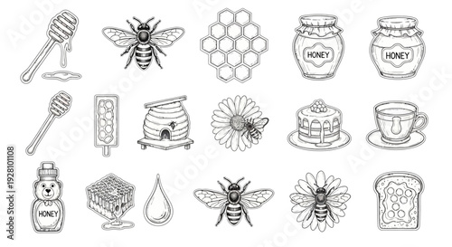 Honeybee and honey related illustrations vector set isolated on white