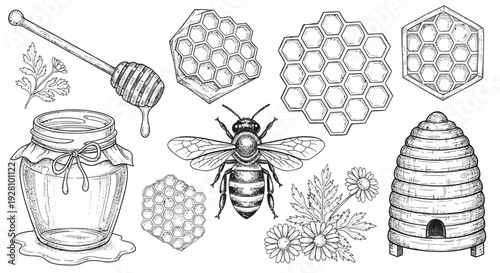 Honeybee and honeycomb illustration set for decorative and commercial design