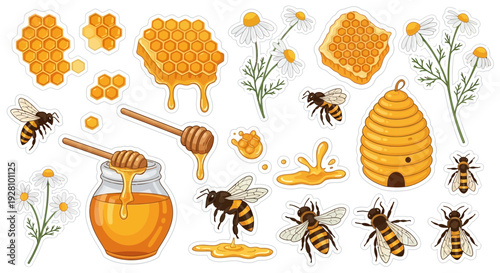 Honeybee and honeycomb collection sweet elements in vector illustration