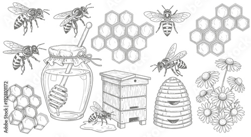 Honeybee collection with honeycomb and beehive illustrations in vintage style