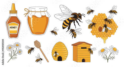 Honeybee illustration set jar bottle hive bees flowers vector design