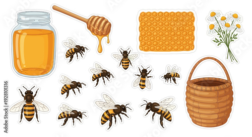 Honeybee illustration set jar comb dipper and bees isolated on white