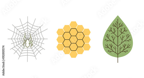 Flat illustration icons set featuring spider web, honeycomb structure and tree leaf, concept for biology presentation, nature design and environmental theme