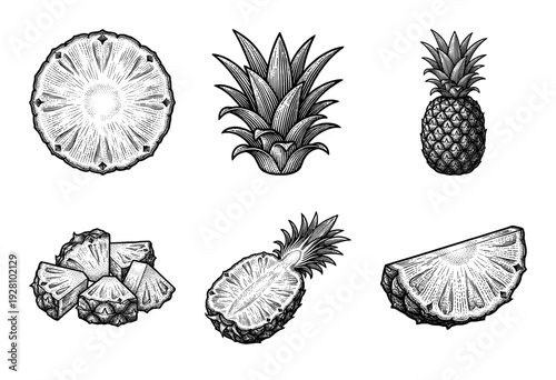 Set of black and white pineapple illustrations featuring whole fruit, slices, and segments in a vintage woodcut engraving style.