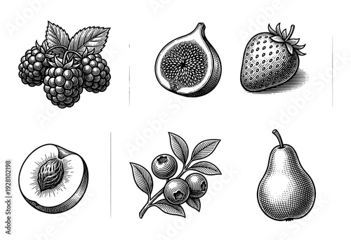 Set of vintage woodcut style fruit illustrations featuring raspberries, fig, strawberry, peach, blueberries, and pear in black and white line art.