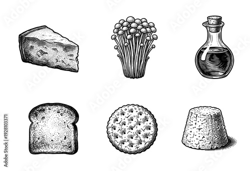 Collection of hand drawn vintage engraving style food illustrations featuring cheese mushrooms vinegar bread cracker and ricotta