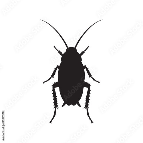 Black Cockroach silhouette vector illustration on white background