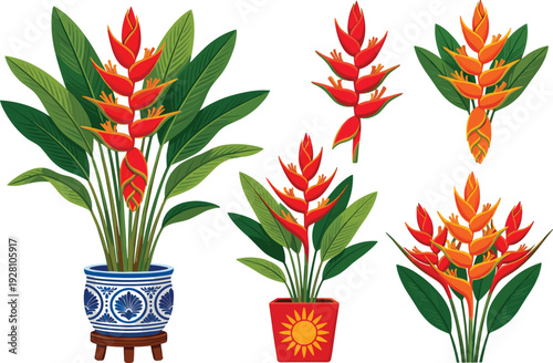 Tropical Heliconia Flower Plant Collection in Decorative Pots with Lush Green Leaves Botanical Vector Illustration Set