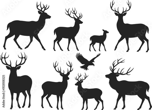Deer and bird silhouettes collection, wildlife vector illustration, forest animal design, nature diversity art, stag antler posture, flying creature gesture