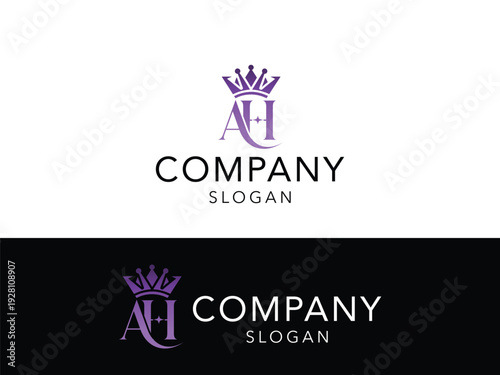Professional Company Logo