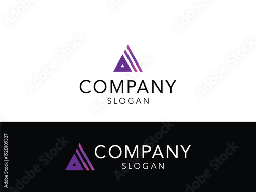 Professional Brand Logo