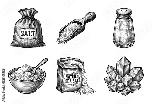 Natural sea salt collection in vintage woodcut style featuring bags, glass shaker, bowl with scoop, and raw crystals