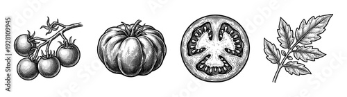 Vintage engraving of tomato collection featuring cherry tomatoes on vine, whole heirloom fruit, cross section slice, and organic leaf foliage in a detailed woodcut style.
