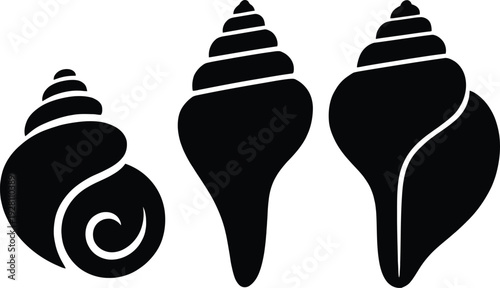 Three seashells are depicted in a simple black and white graphic illustration.