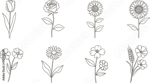 Outline drawings of eight different flowers and plants showing tulips roses sunflowers daisies