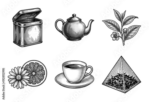Vintage tea collection featuring hand drawn engraving style illustrations of a teapot cup saucer tin citrus chamomile and pyramid tea bag
