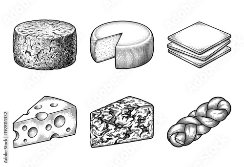 Vintage engraving style collection of various cheese types featuring wheels, wedges, slices, and braided mozzarella in black and white line art.