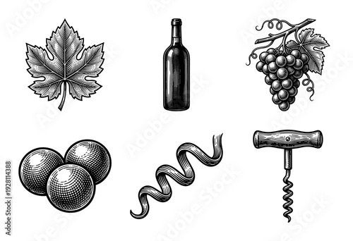 Vintage engraving style wine production and sommelier tool collection featuring grape vine leaves, glass bottle, corkscrew, and fruit clusters.