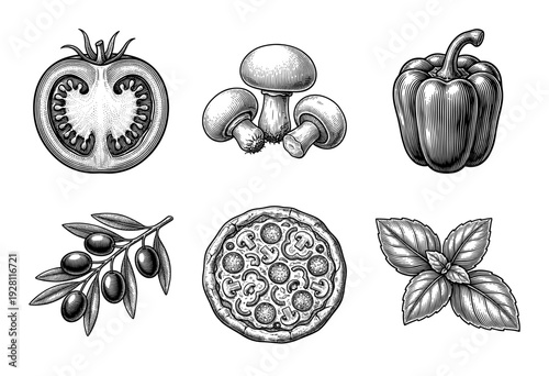 Vintage woodcut style pizza ingredient collection featuring tomato slice mushrooms bell pepper olives and basil leaves