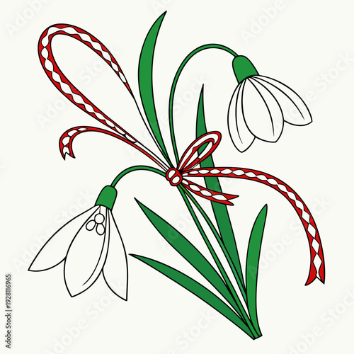 Traditional martenitsa with snowdrops and red white braided cord for spring celebration occasion symbol