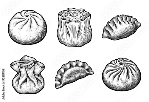 Vintage engraving style collection of assorted dim sum and dumplings featuring gyoza, baozi, shumai, and wonton illustrations