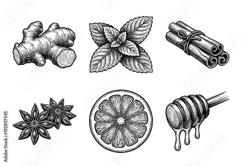 Set of hand drawn spice and herbal tea ingredients featuring ginger mint cinnamon star anise lemon and honey in vintage engraving style