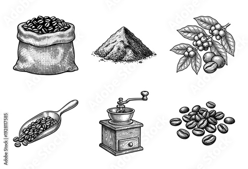 Vintage coffee production set featuring engraved illustrations of a bean sack, hand grinder, cherry branch, scoop, and roasted coffee grounds
