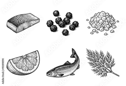 Vintage engraving collection of salmon fillet, whole fish, peppercorns, sea salt, lemon slice, and fresh dill sprig for culinary design.