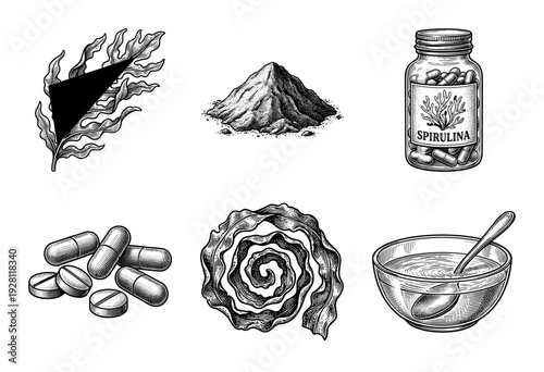 Vintage woodcut style collection of spirulina algae in various forms including powder, tablets, capsules, and raw seaweed
