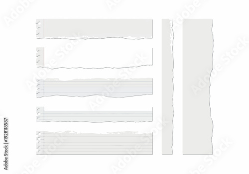 Collection of torn paper strips and sheets with torn edges, perfect for various design and journaling applications