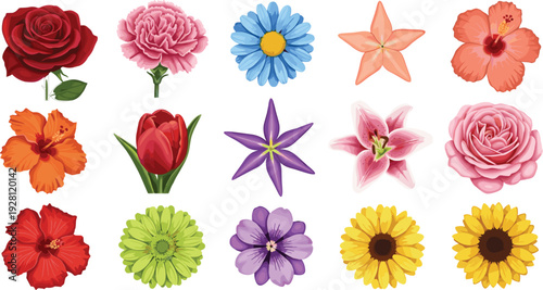 Detailed human mouth and teeth vector set featuring an open mouth with tongue, a smiling mouth, and a full set of dental dentures isolated on white background.