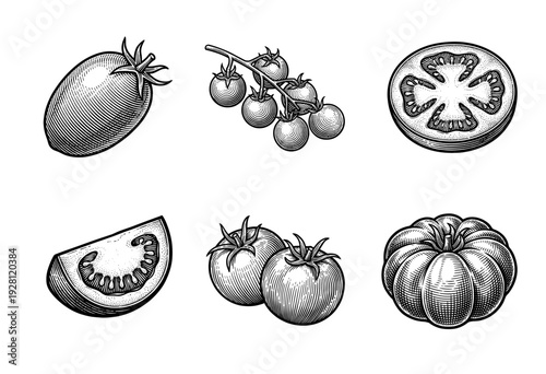 Vintage tomato engraving collection featuring heirloom, cherry, and plum varieties in whole, sliced, and bunch formats for culinary illustration.