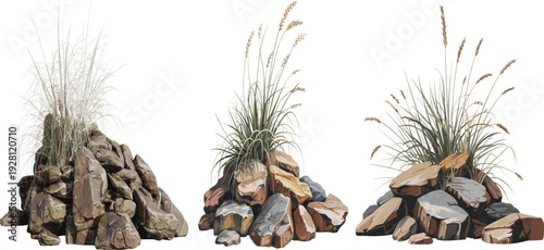 Rock arrangements with ornamental grasses illustration, landscaping and gardening design concept showing natural stone piles, decorative plant combinations, and ecological aesthetics