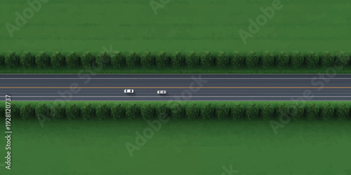 Straight Highway Through Green Forest – Top View Vector Illustration