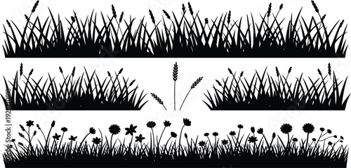 Silhouette collection of grass and wildflower arrangements, nature illustration concept showing meadow plants, wheat stalks, floral design, and decorative border elements