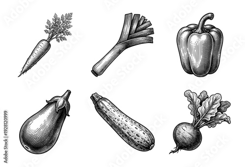 Vintage woodcut style vegetable collection featuring engraved illustrations of carrot, leek, bell pepper, eggplant, zucchini, and radish.