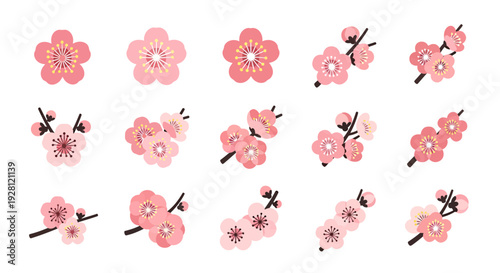 Set of various pink cherry blossom icons with branches in flat design isolated on white background, concept for spring festival decoration, Japanese cultural branding and floral card graphic
