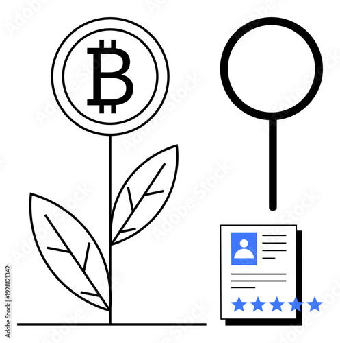 Bitcoin symbol as a plant growth concept, profile document with star ratings, and a magnifying glass. Ideal for cryptocurrency growth, personal branding, digital economy, online reputation
